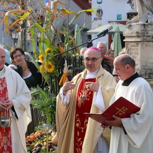 Foto: Christa Wiener-Pucher